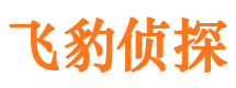 安平外遇出轨调查取证